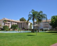 Reventa - Apartmento - Orihuela Costa - Playa Flamenca