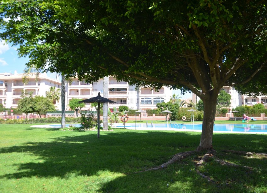 Reventa - Apartmento - Orihuela Costa - Playa Flamenca