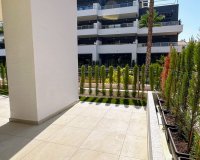 Reventa - Apartmento - Orihuela Costa - Playa Flamenca