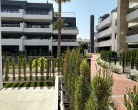 Reventa - Apartmento - Orihuela Costa - Playa Flamenca