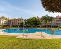 Reventa - Apartmento - Orihuela Costa - Playa Flamenca