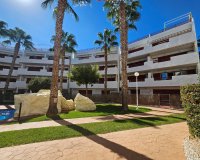 Reventa - Apartmento - Playa Flamenca - El Rincon