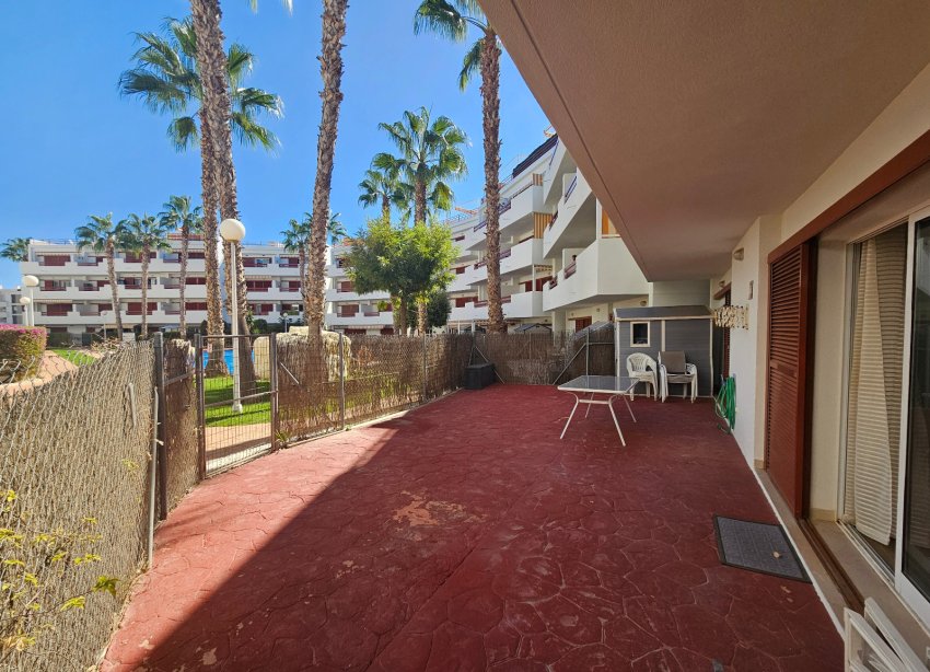 Reventa - Apartmento - Playa Flamenca - El Rincon