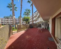 Reventa - Apartmento - Playa Flamenca - El Rincon