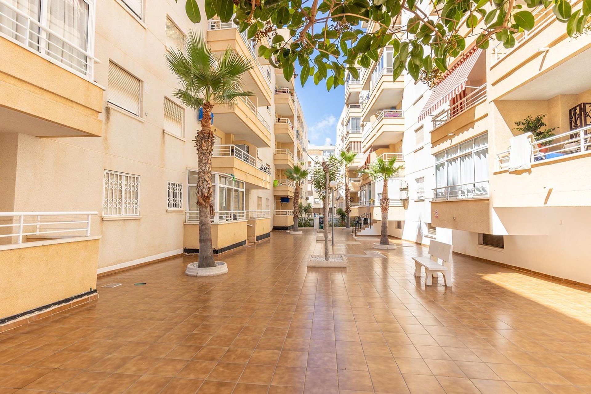 Reventa - Apartmento - Torrevieja - Estacion de autobuses