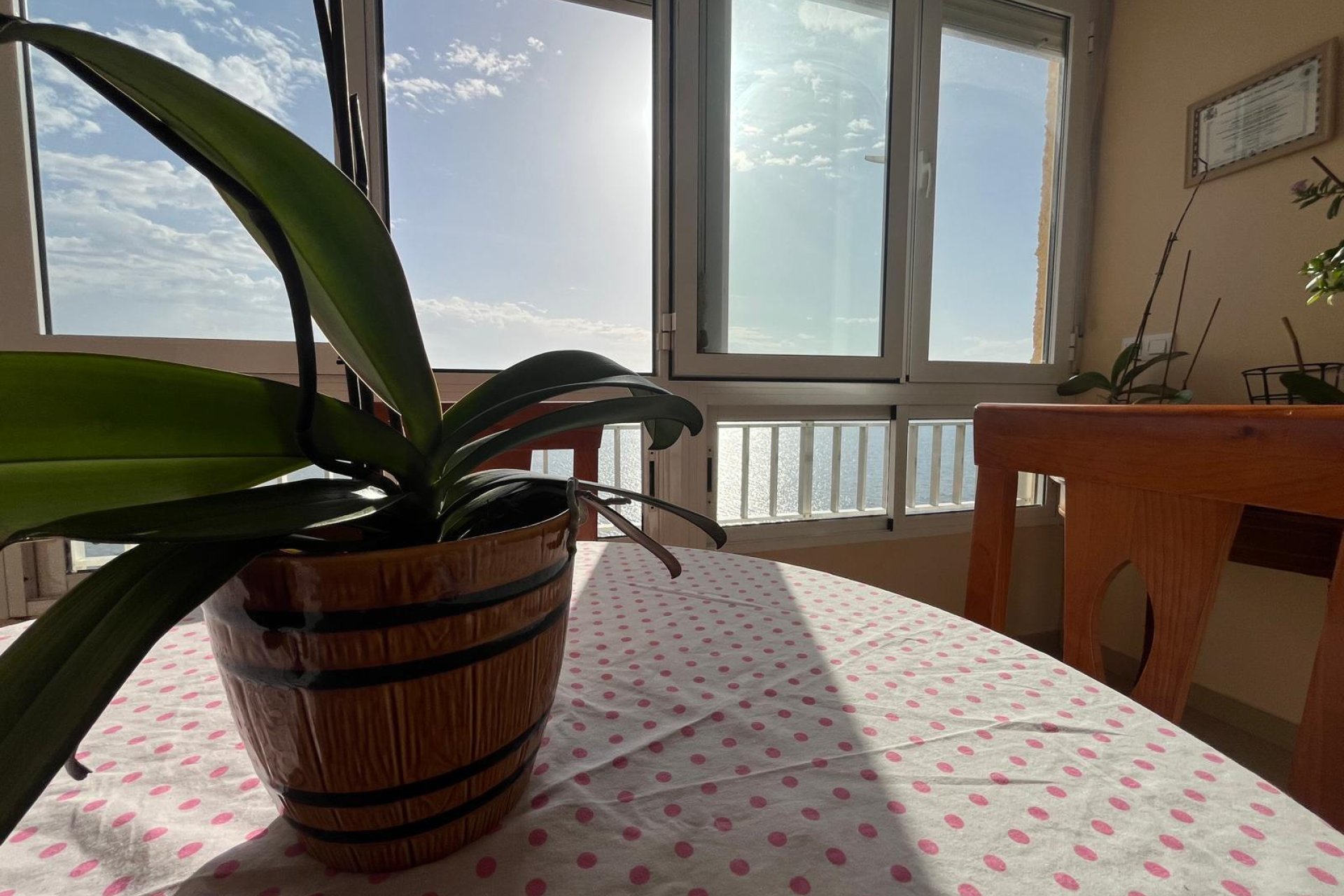 Reventa - Apartmento - Torrevieja - Playa del cura