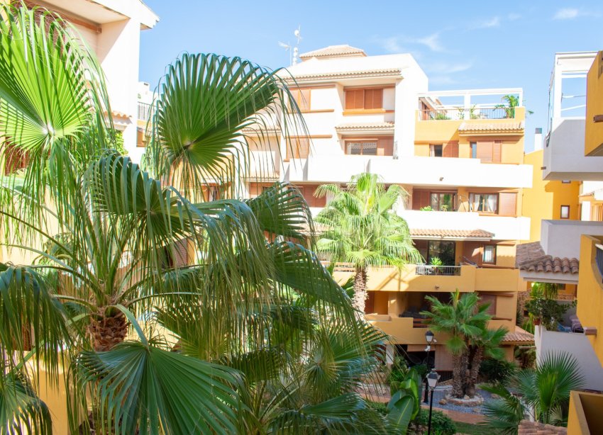 Reventa - Apartmento - Torrevieja - Punta Prima