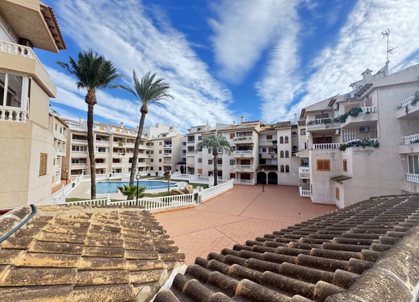 Reventa - Apartmento - Torrevieja