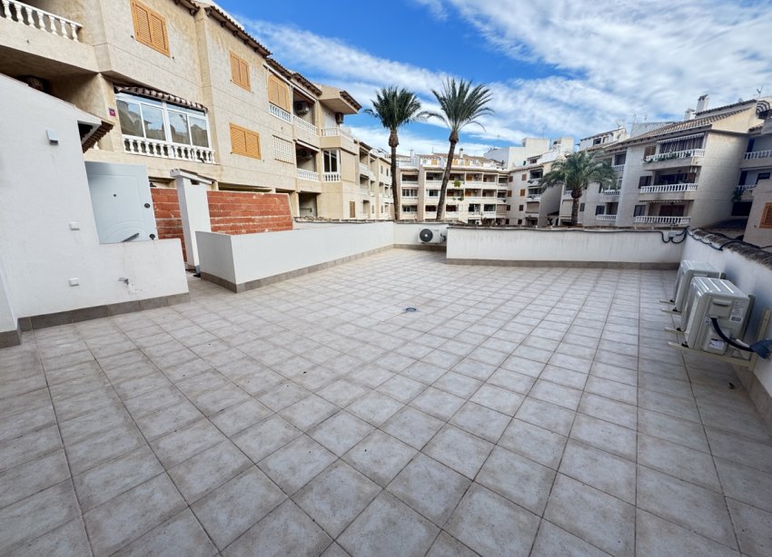 Reventa - Apartmento - Torrevieja