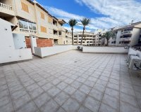 Reventa - Apartmento - Torrevieja