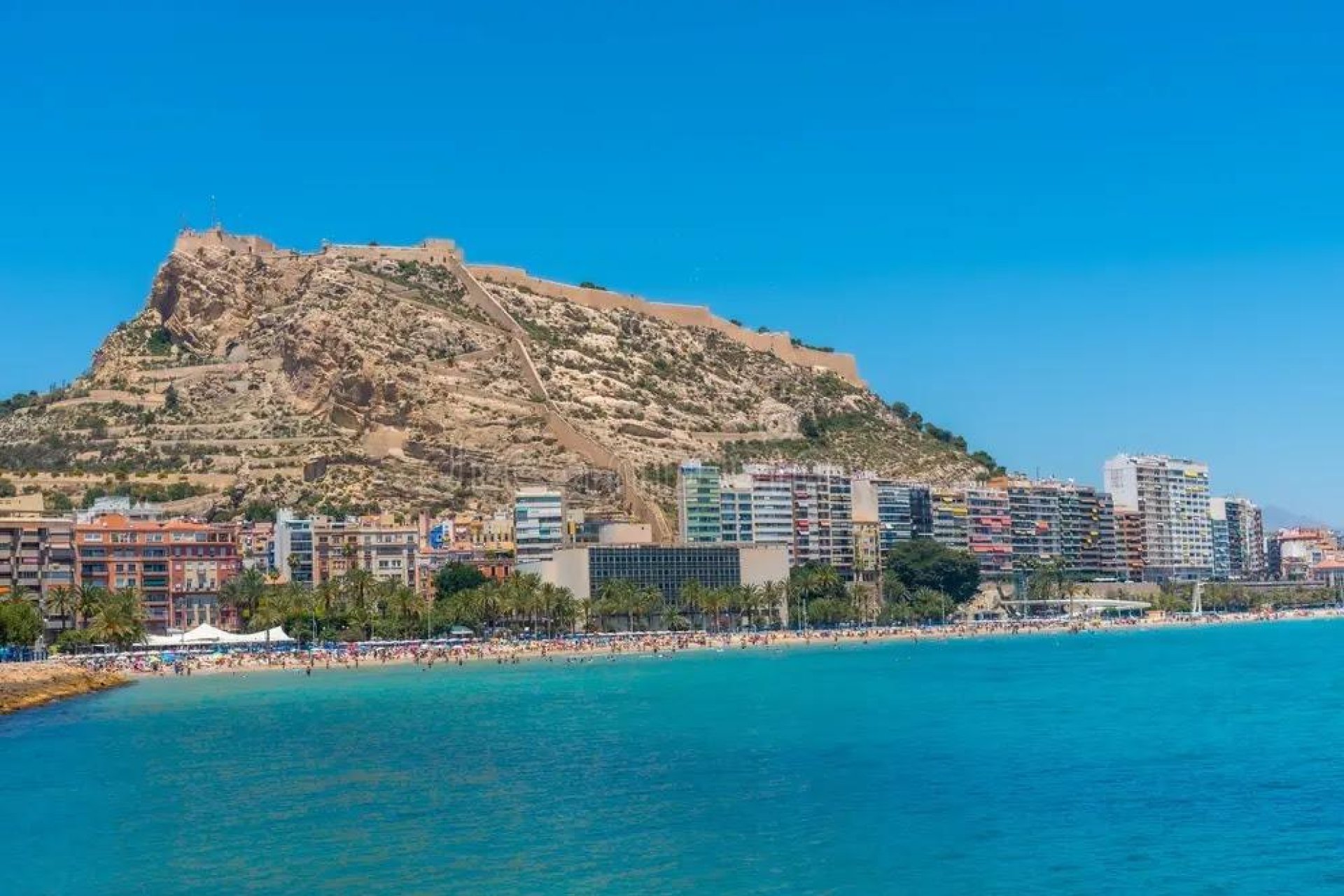 Reventa - Building - Alicante - Carolinas Bajas