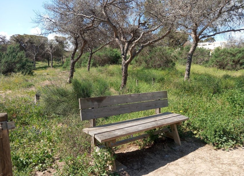 Reventa - Bungalow - Guardamar del Segura - Urbanizaciones