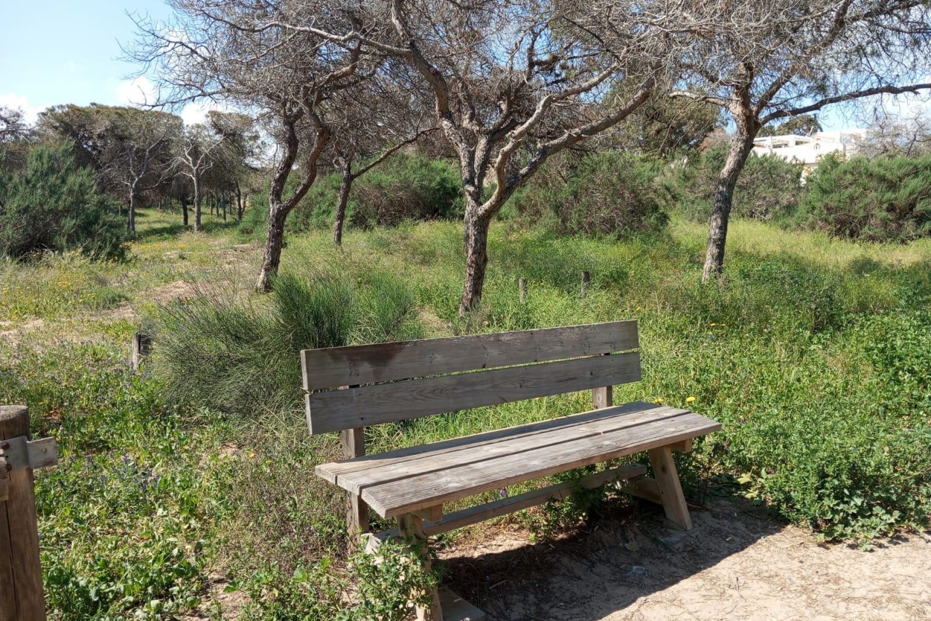 Reventa - Bungalow - Guardamar del Segura - Urbanizaciones