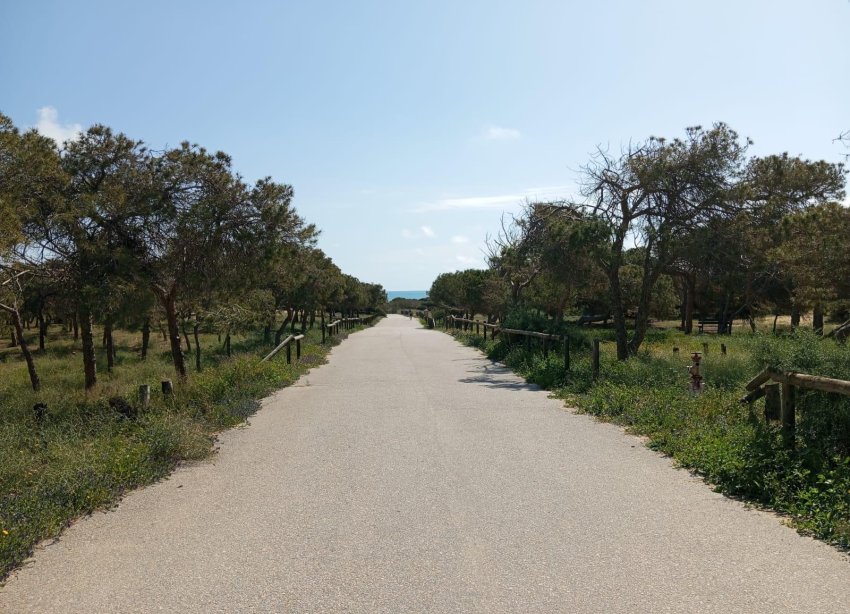 Reventa - Bungalow - Guardamar del Segura - Urbanizaciones