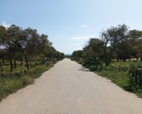 Reventa - Bungalow - Guardamar del Segura - Urbanizaciones