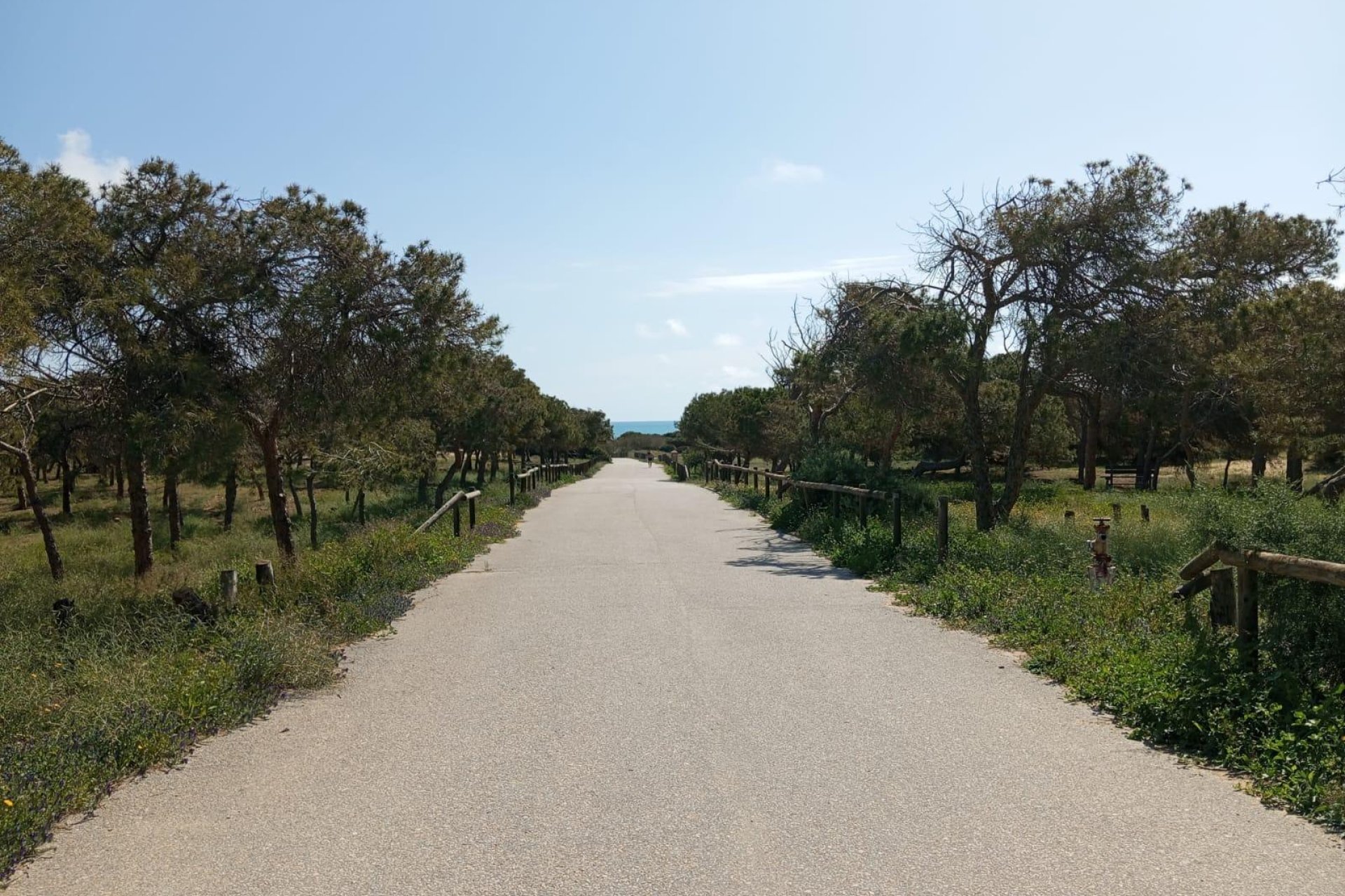 Reventa - Bungalow - Guardamar del Segura - Urbanizaciones