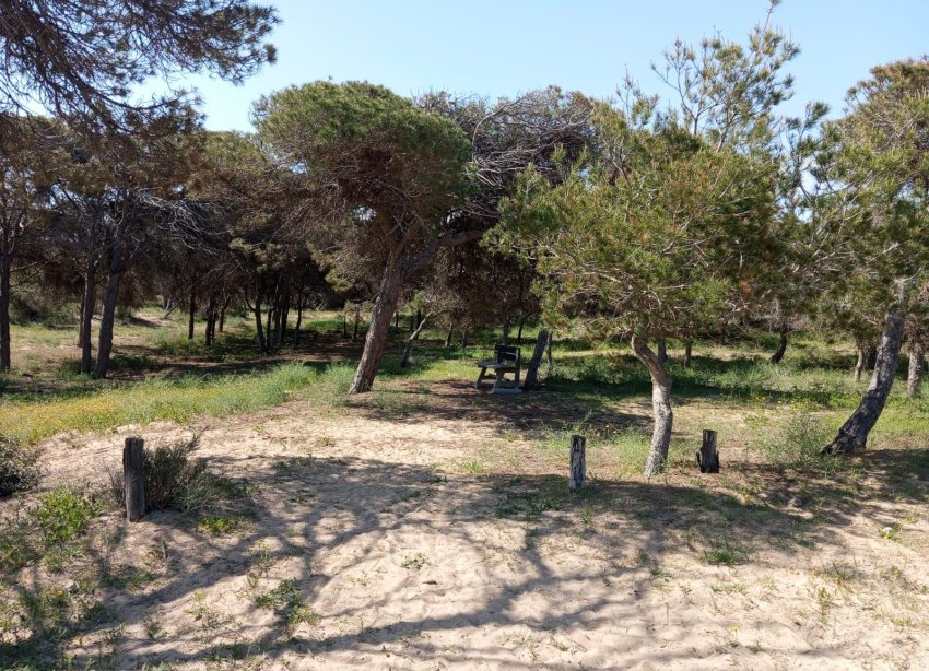 Reventa - Bungalow - Guardamar del Segura - Urbanizaciones