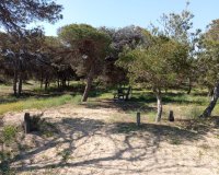 Reventa - Bungalow - Guardamar del Segura - Urbanizaciones