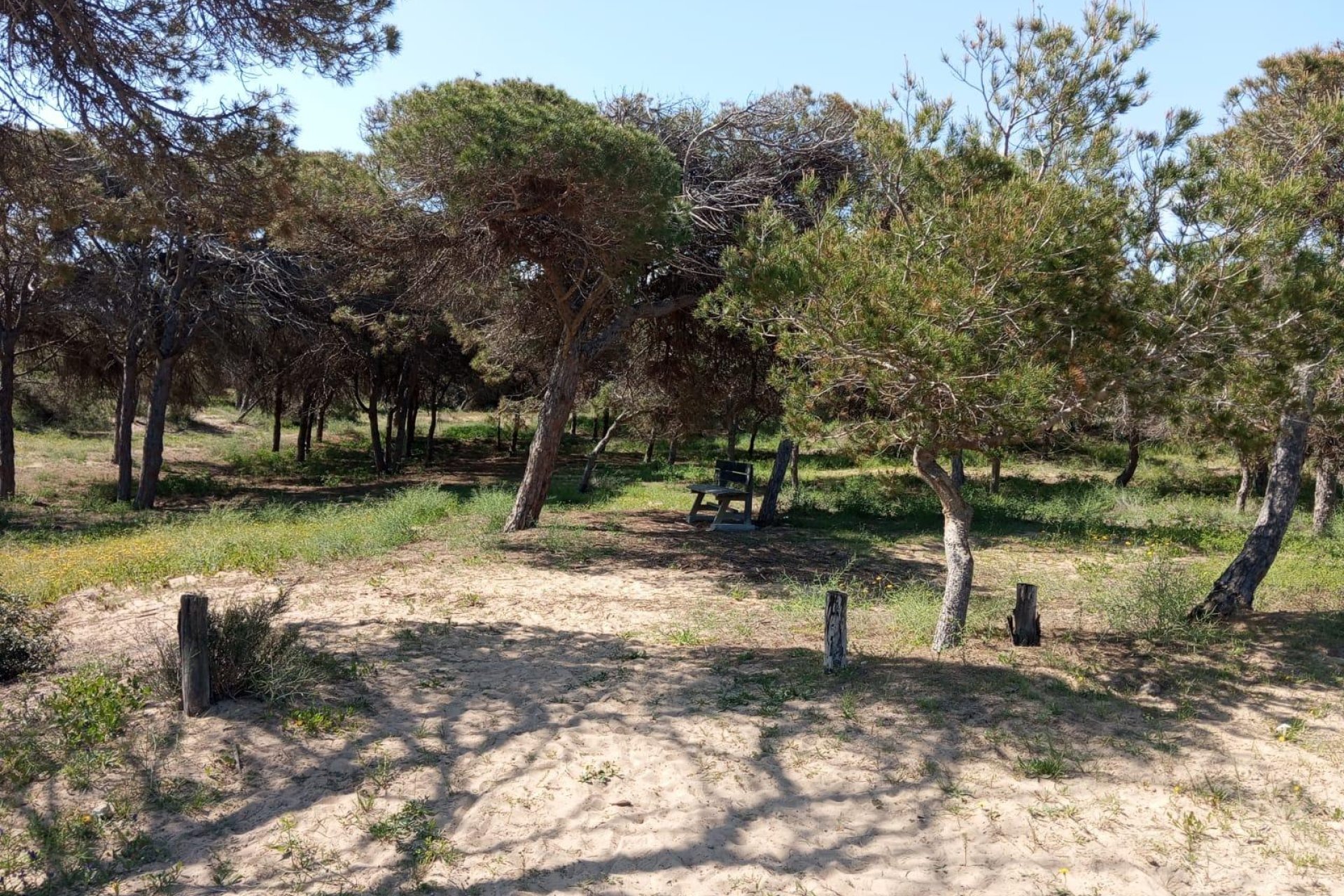 Reventa - Bungalow - Guardamar del Segura - Urbanizaciones