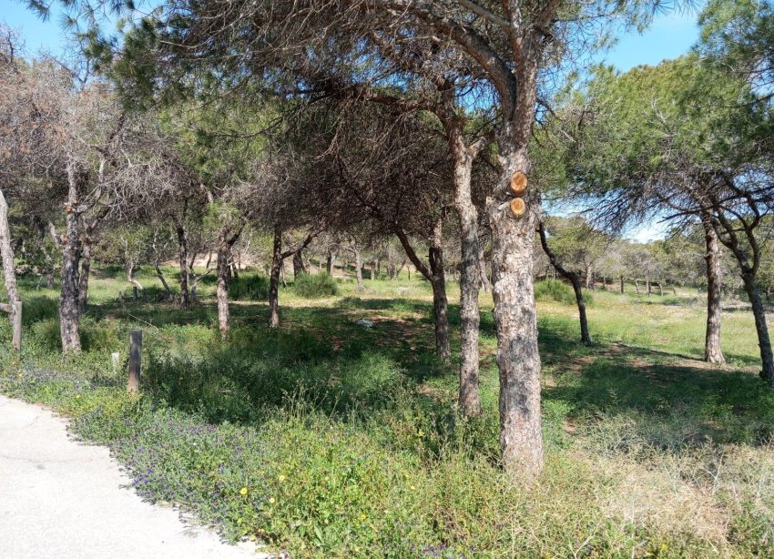 Reventa - Bungalow - Guardamar del Segura - Urbanizaciones