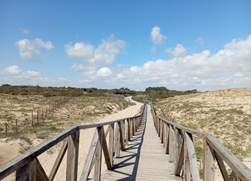 Reventa - Bungalow - Guardamar del Segura - Urbanizaciones