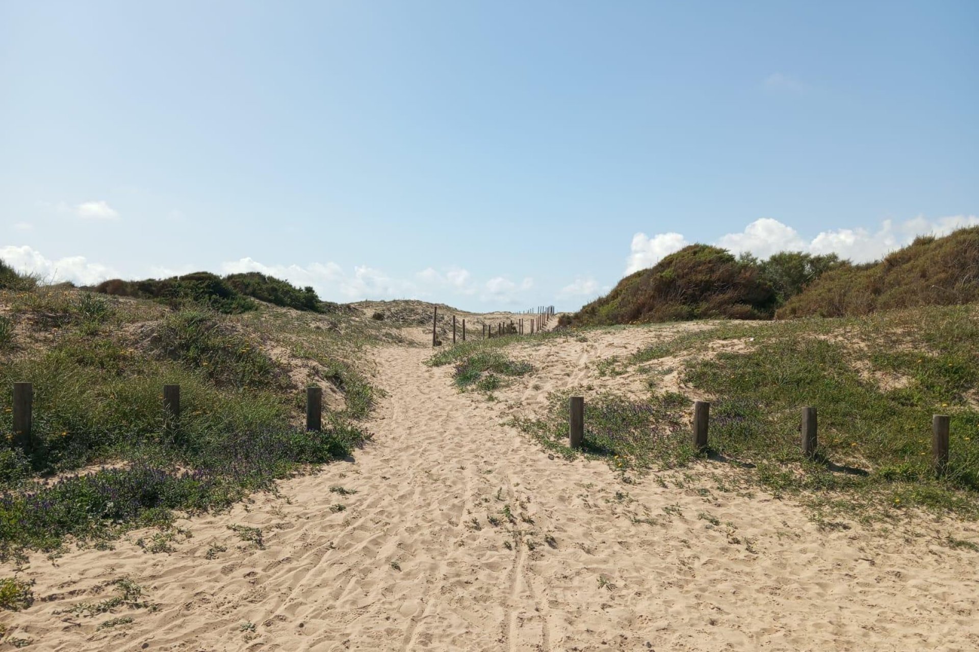 Reventa - Bungalow - Guardamar del Segura - Urbanizaciones