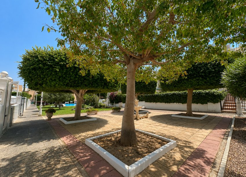 Reventa - Bungalow - La Mata