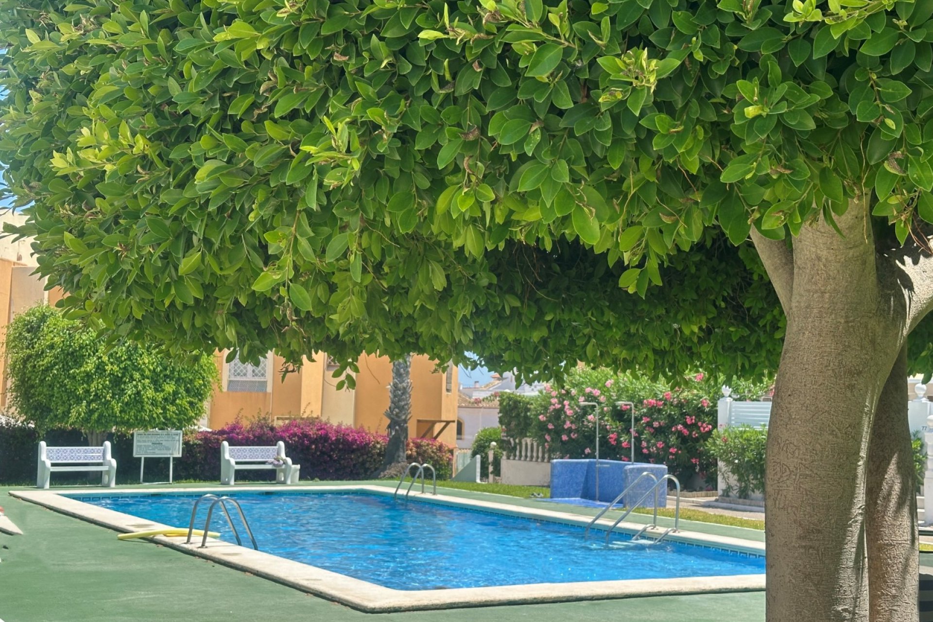 Reventa - Bungalow - La Mata