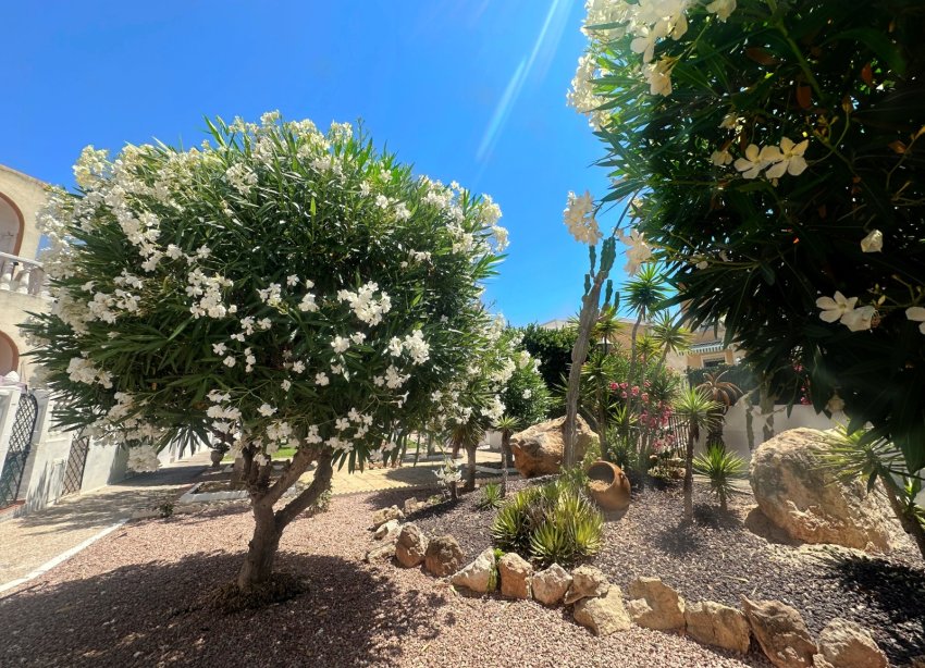 Reventa - Bungalow - La Mata
