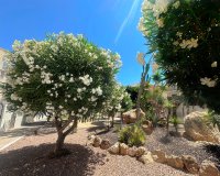 Reventa - Bungalow - La Mata
