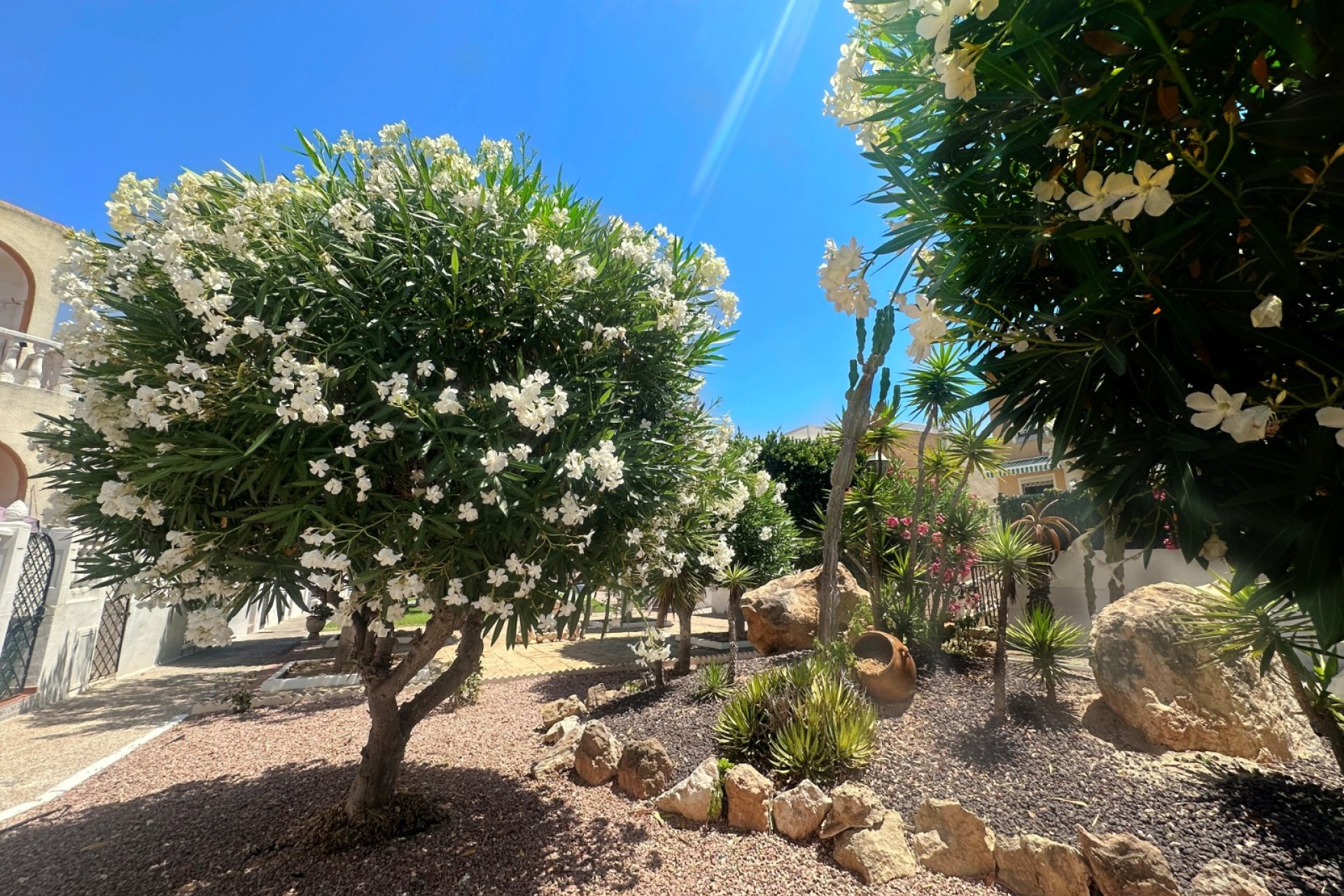 Reventa - Bungalow - La Mata