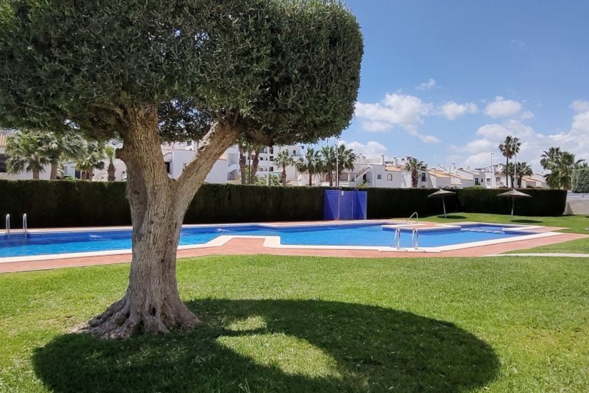 Reventa - Bungalow - Orihuela Costa - Los Dolses