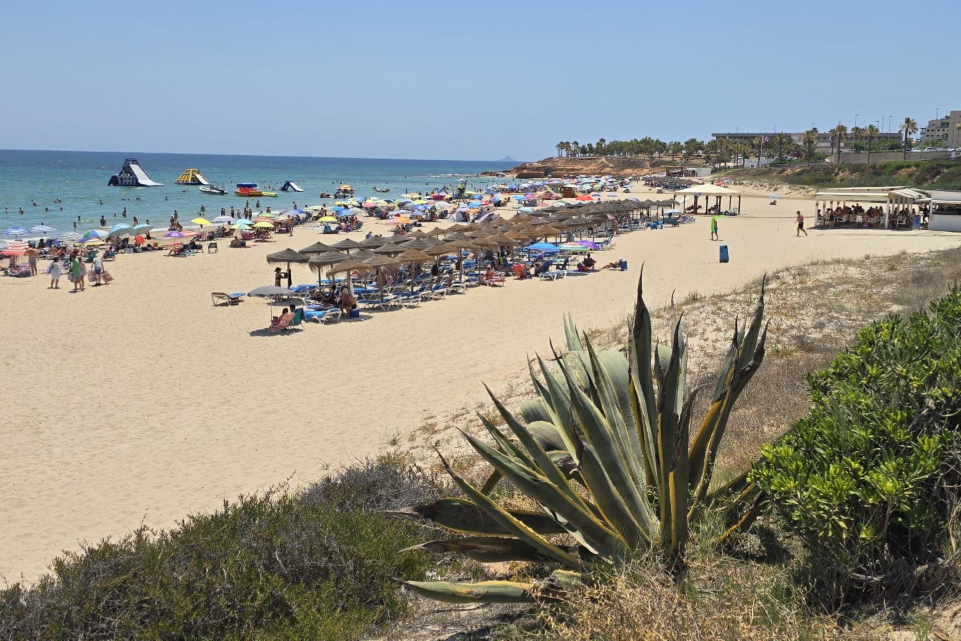 Reventa - Bungalow - Orihuela Costa - Mil Palmeras