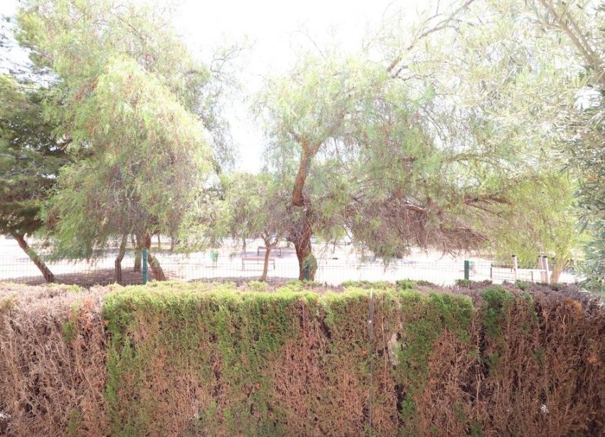 Reventa - Bungalow - Orihuela Costa - Punta Prima