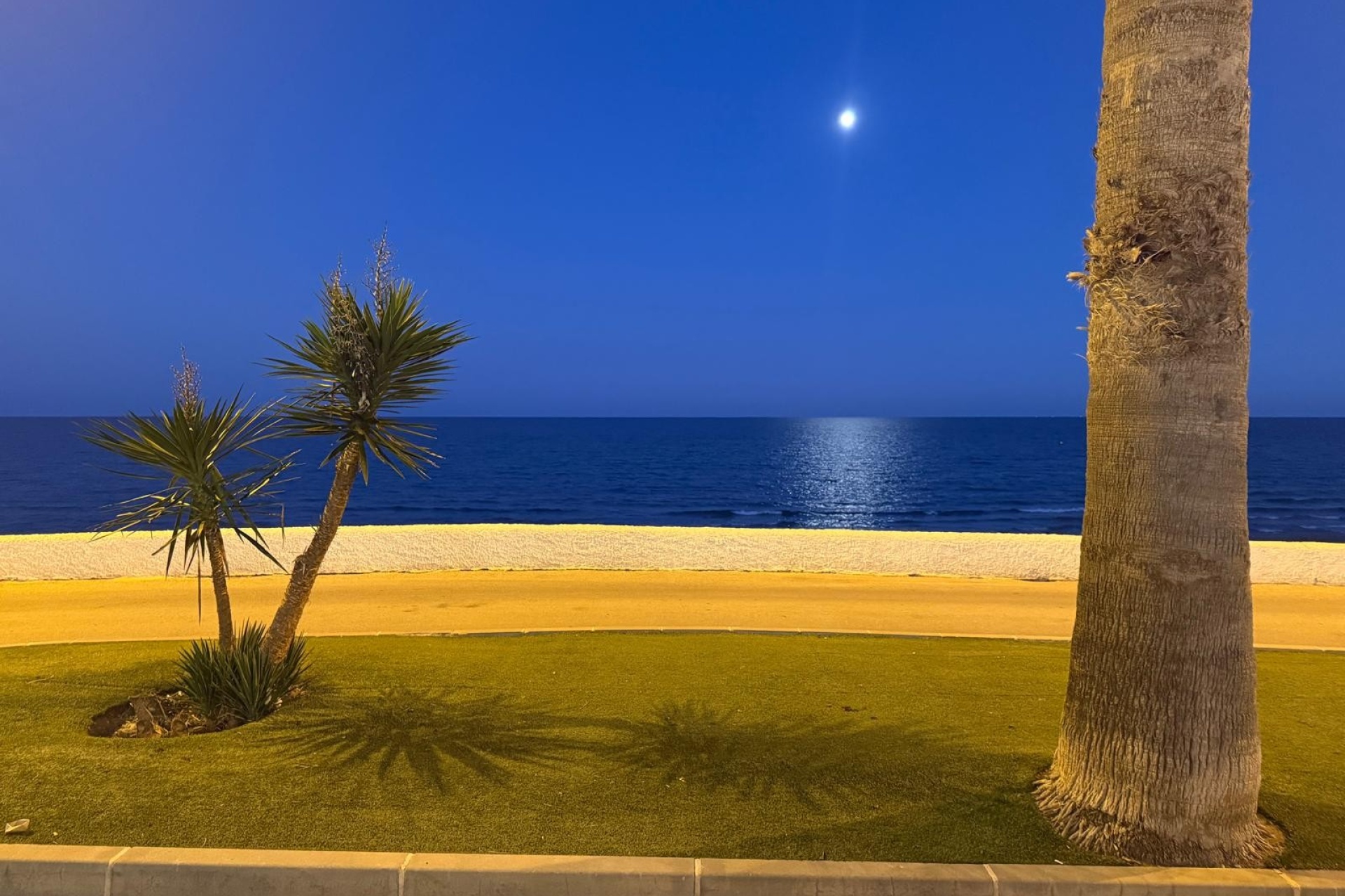 Reventa - Bungalow - Pilar de la Horadada - Mil Palmeras