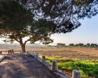 Reventa - Bungalow - Torrevieja - El chaparral