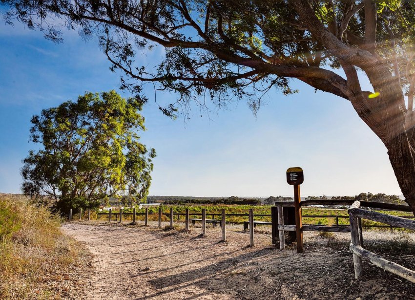 Reventa - Bungalow - Torrevieja - El chaparral