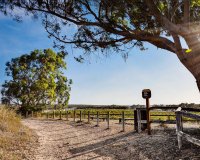 Reventa - Bungalow - Torrevieja - El chaparral