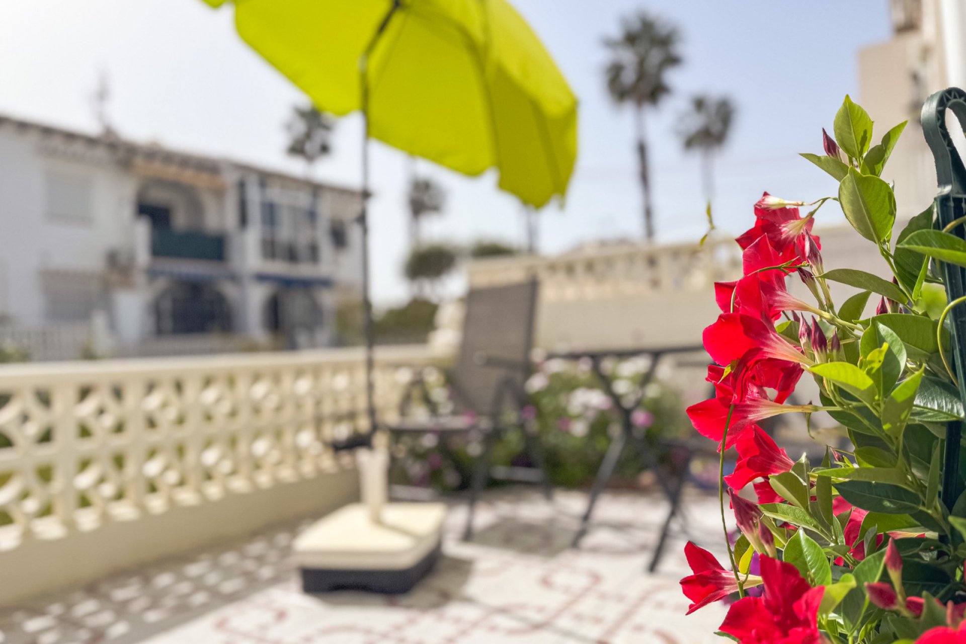 Reventa - Bungalow - Torrevieja - Lago Jardin