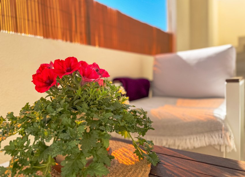 Reventa - Bungalow - Torrevieja - Los Altos