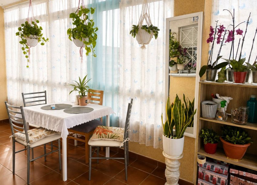 Reventa - Bungalow - Torrevieja