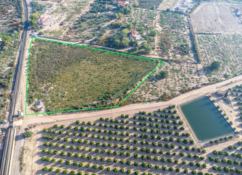 Reventa - Country land - Crevillent - Comunidad valenciana