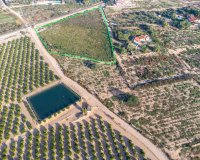 Reventa - Country land - Crevillent - Comunidad valenciana