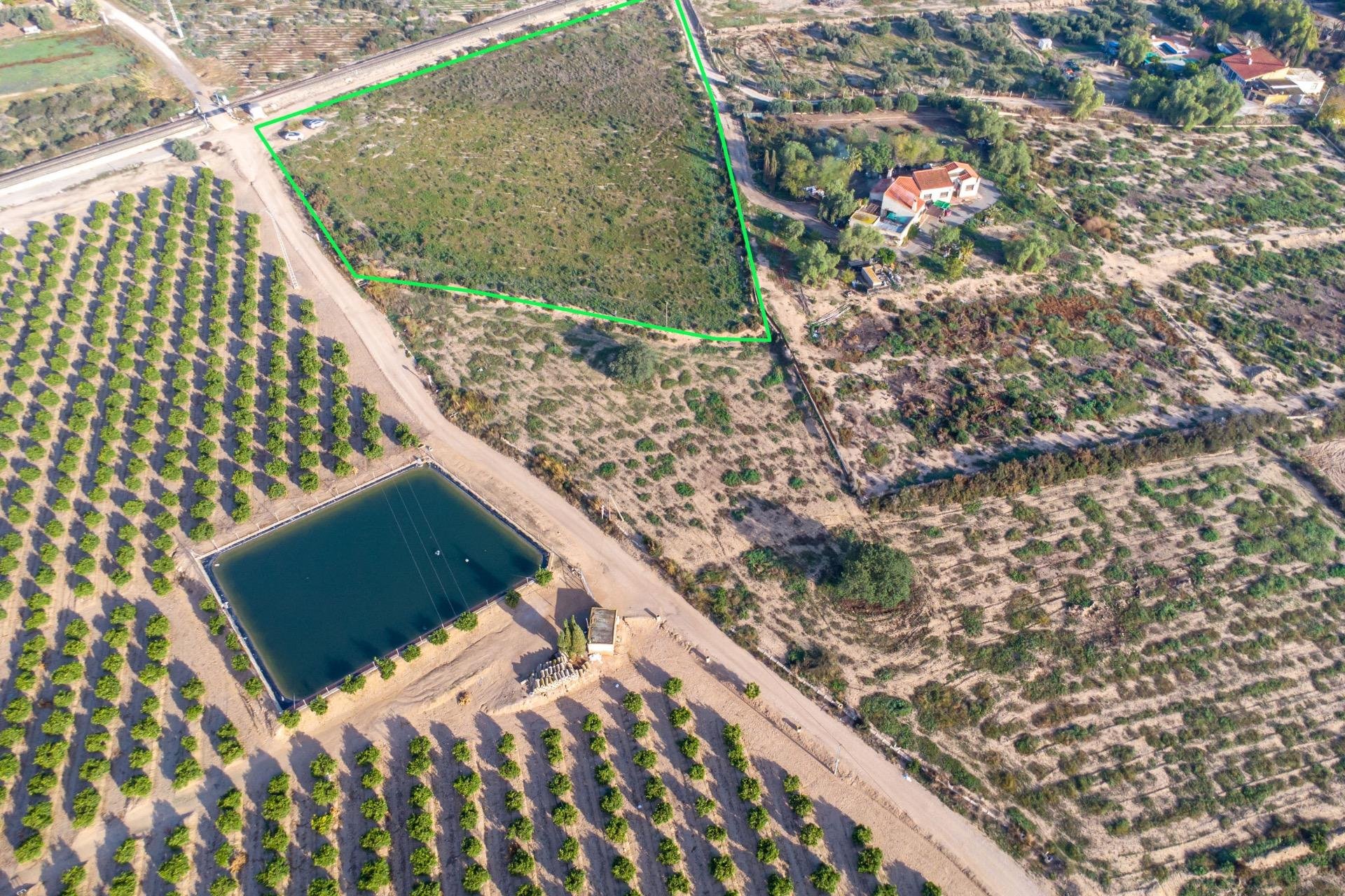 Reventa - Country land - Crevillent - Comunidad valenciana