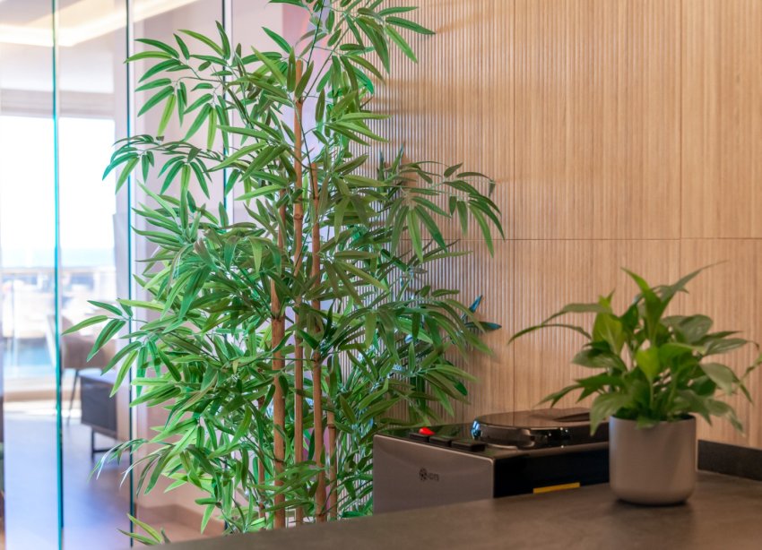 Reventa - Duplex - Altea