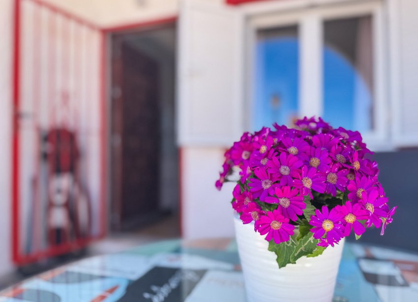 Reventa - Duplex - Torrevieja - CABO CERVERA