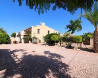 Reventa - Finca - Albatera - Albatera - Country