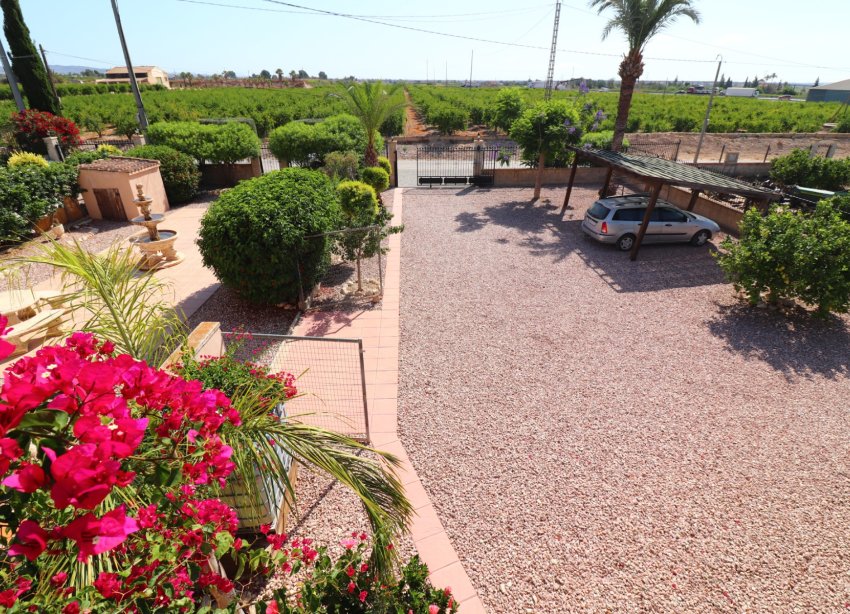 Reventa - Finca - Albatera - Albatera - Country