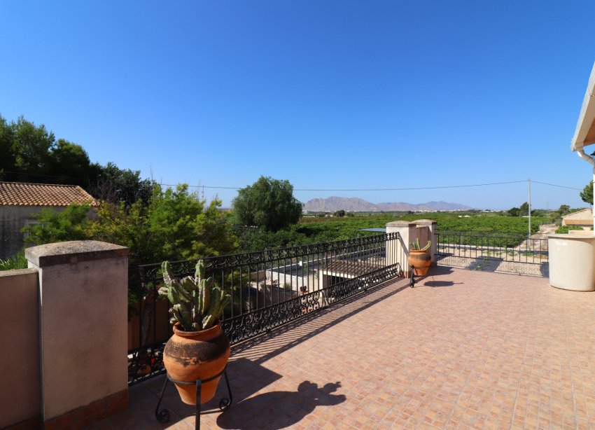 Reventa - Finca - Albatera - Albatera - Country