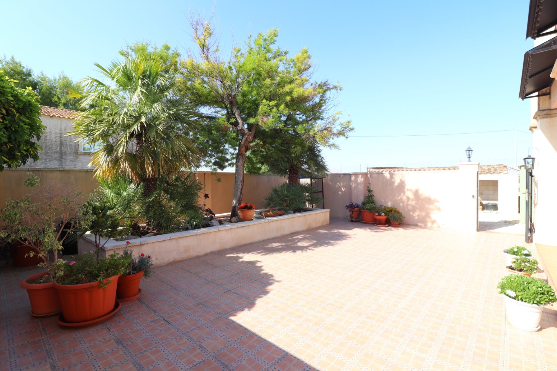 Reventa - Finca - Albatera - Albatera - Country